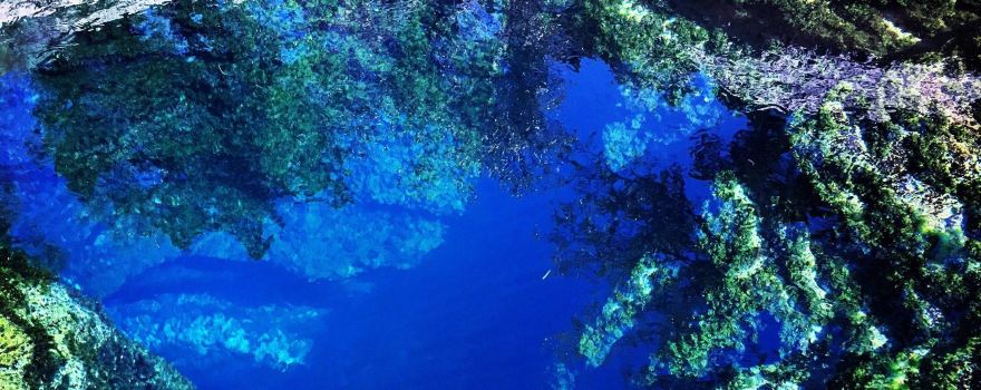 Jacob's Well Natural Area