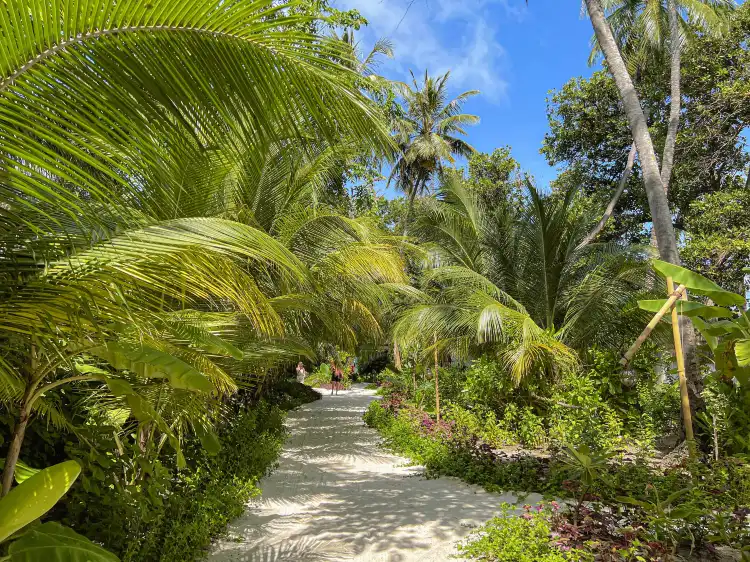 Hotels in Kuda Bandos