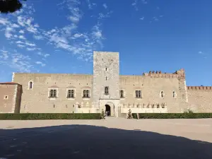 Palace of the Kings of Majorca