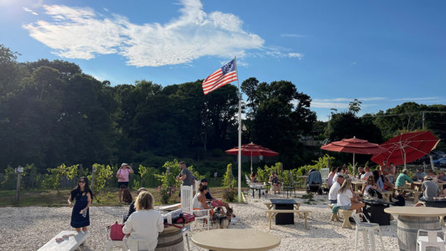 Cape Cod Winery
