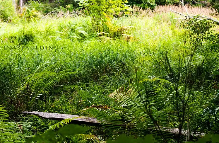Hotels near Catamount State Forest