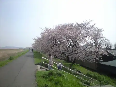 Hotel berhampiran Daishihashi Ugan Teibo Sakuranamiki