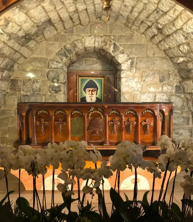 Aannaya