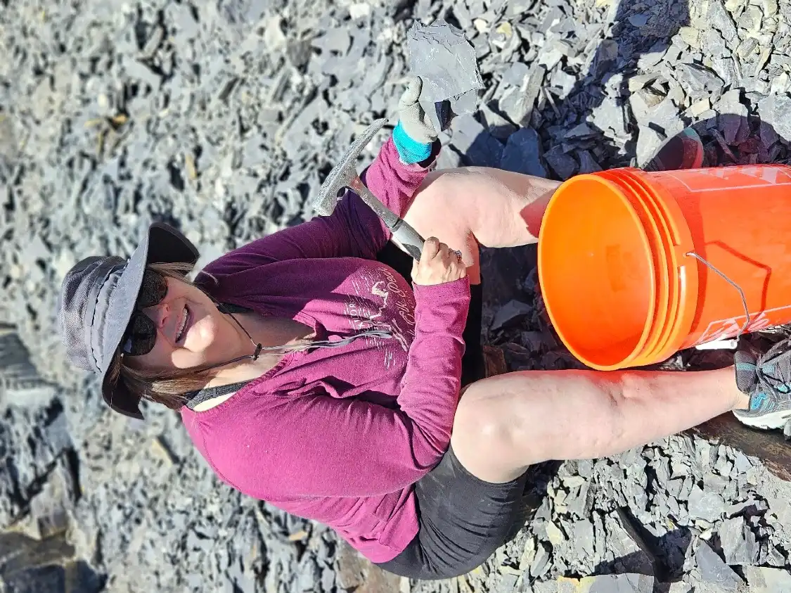 Hotels near U-Dig Fossils: Quarry
