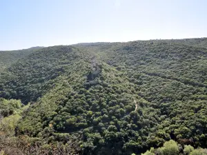 고렌 공원