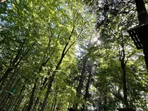 Boscopark Adventure Park