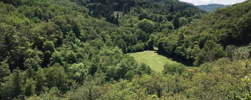 Layensteig Strimmiger-Berg