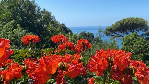 Giardini La Mortella