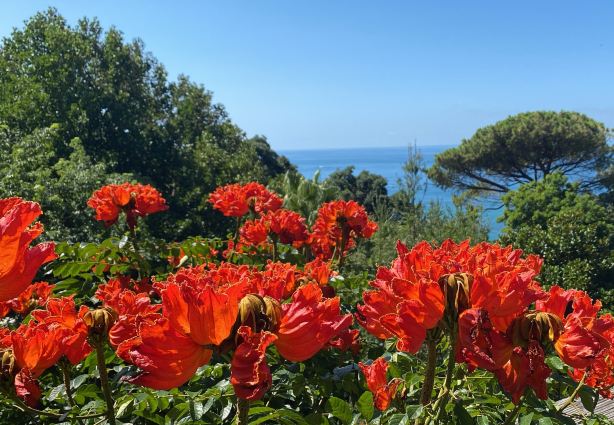 Giardini La Mortella