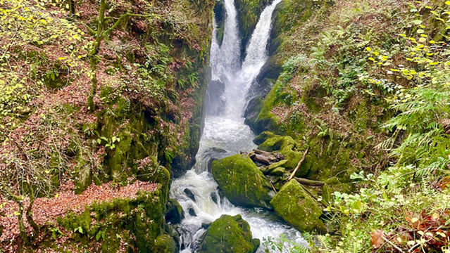 Stock Ghyll Force