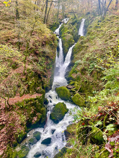 Stock Ghyll Force