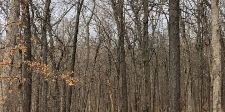 Powder Valley Conservation Nature Center