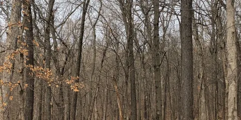 Powder Valley Conservation Nature Center