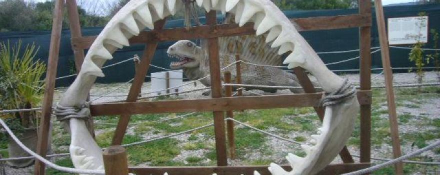 Aquarium Mondo Marino