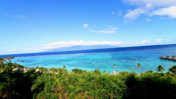 Toatea Lookout