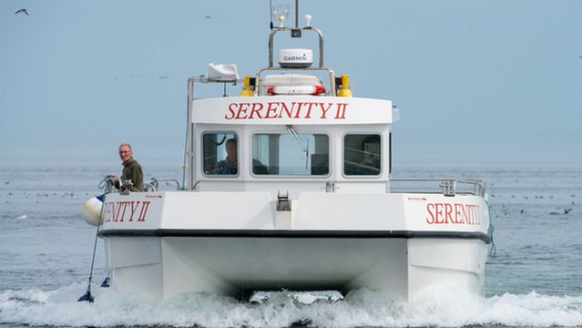 Serenity Farne Island Boat Tours