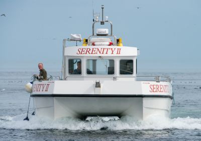 Serenity Farne Island Boat Tours