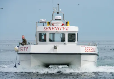 Serenity Farne Island Boat Tours