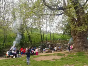 Cumayani Picnic Area