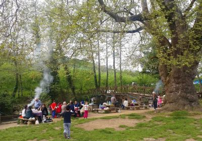 Cumayani Picnic Area