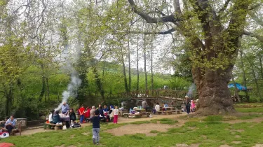 Cumayani Picnic Area