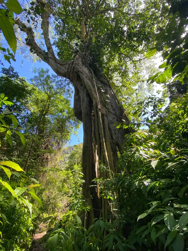 4_Quill National Park