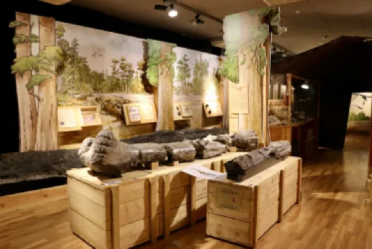 Jurassica Jardin Botanique