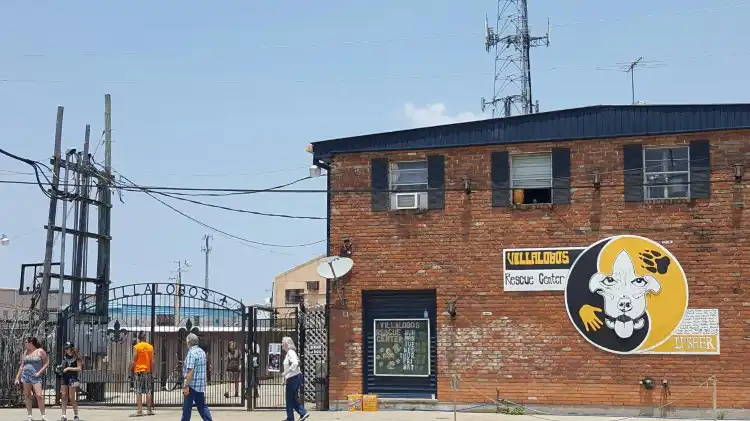 Hotels near Villalobos Rescue Center