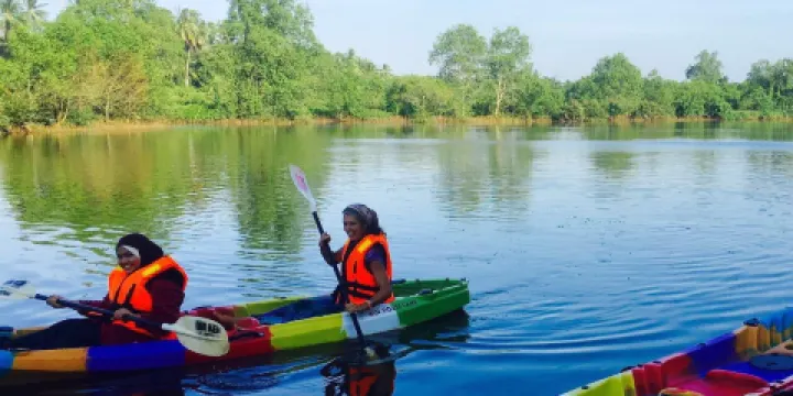 Min Fireflies Garden