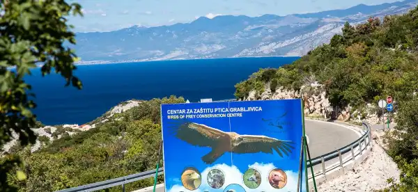 Hotels in Senj
