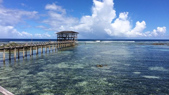 Cloud 9 Surfing Area