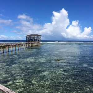 Cloud 9 Surfing Area