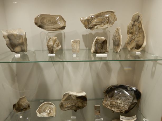 Museum of Minerals and Fossils