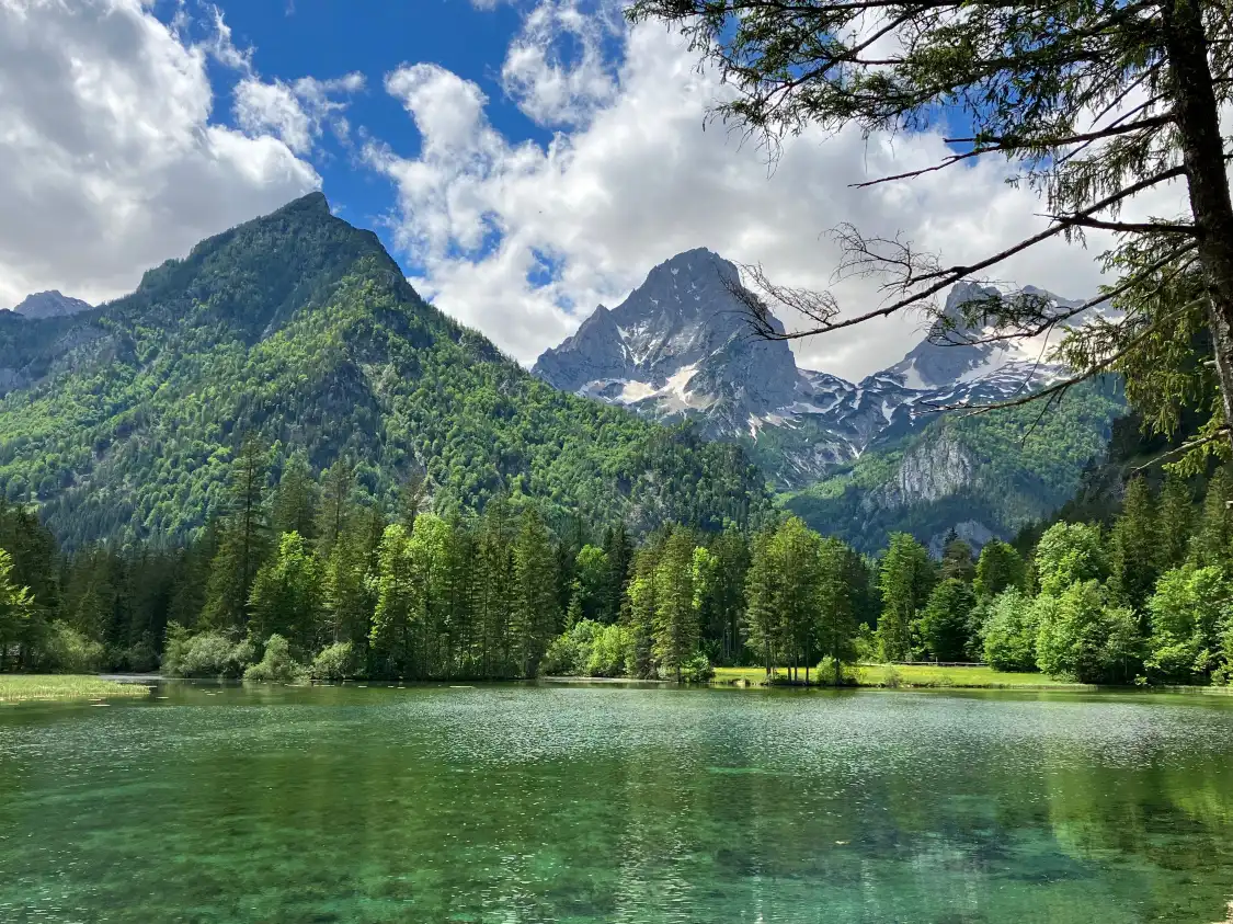 Hotels in der Nähe von Schiederweiher