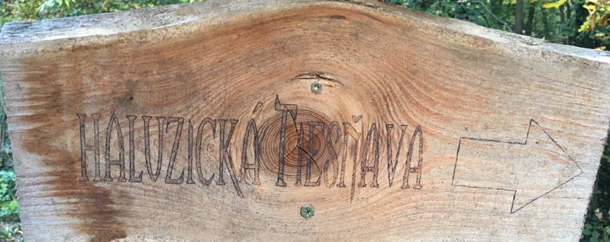 Haluzicka Tiesnava