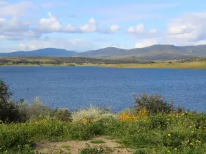Presa del Embalse de Alcollarin