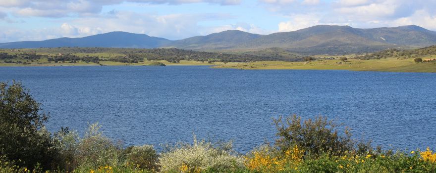 Comarca de Miajadas