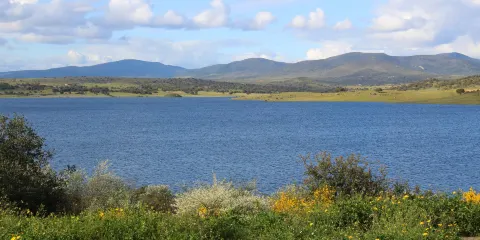 Presa del Embalse de Alcollarin