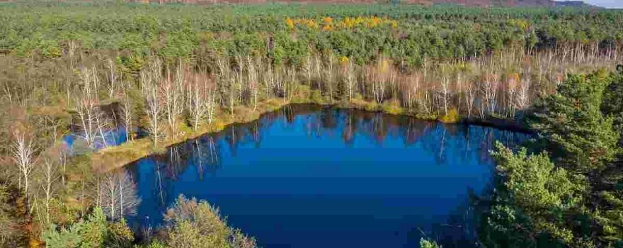 Roztochya Nature Reserve