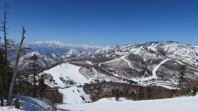Ichinose Family Ski Area