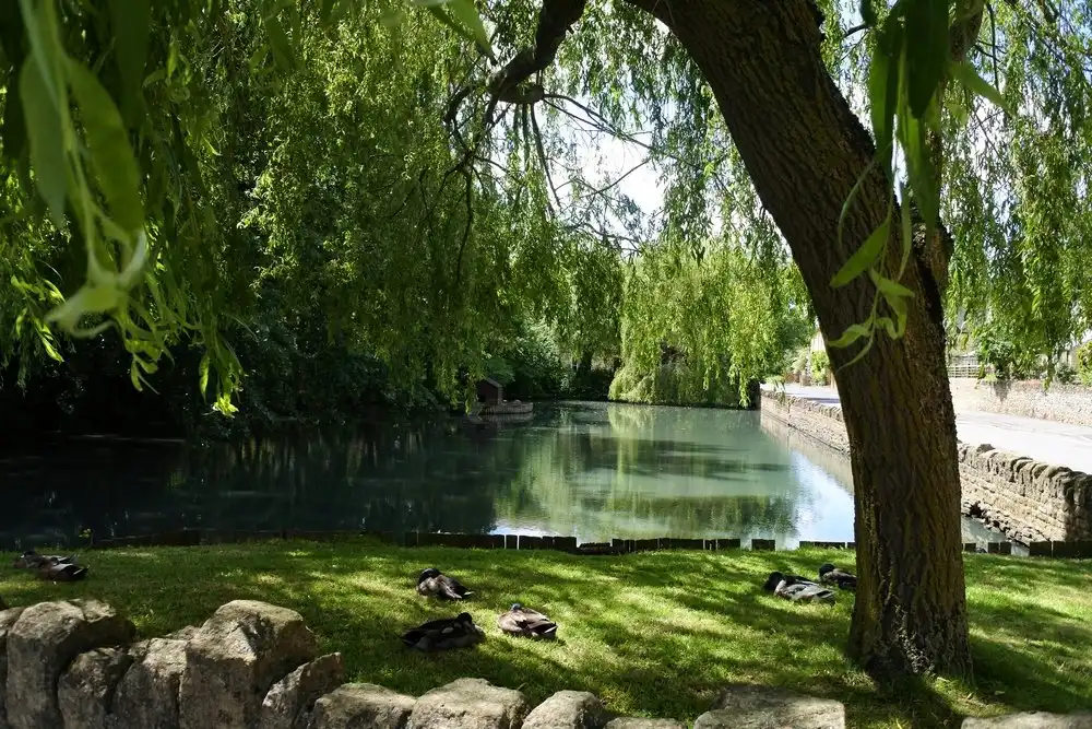 Hotels near Moreton In Marsh Duck Pond