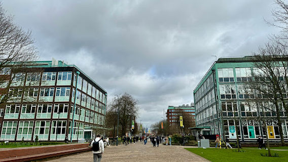 Brunswick Park