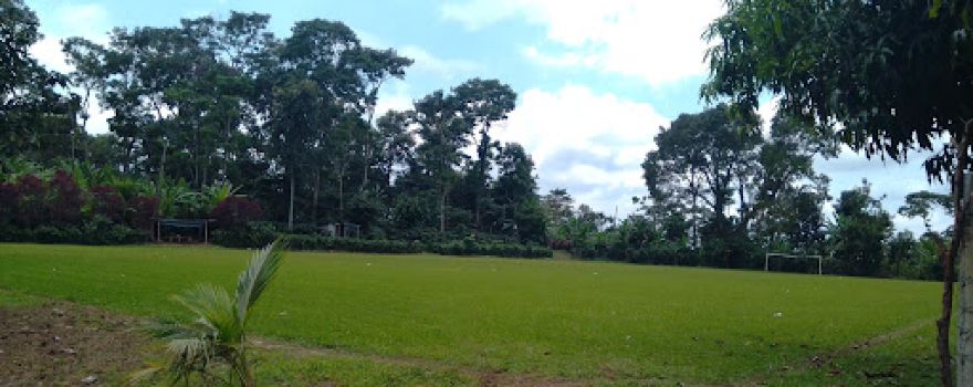 Campo de Fútbol Liberia