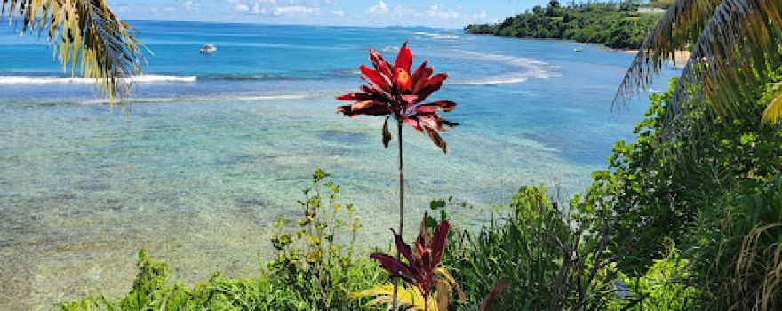 Yasawa Group