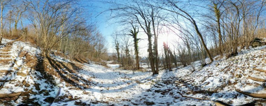 carrieres Woods