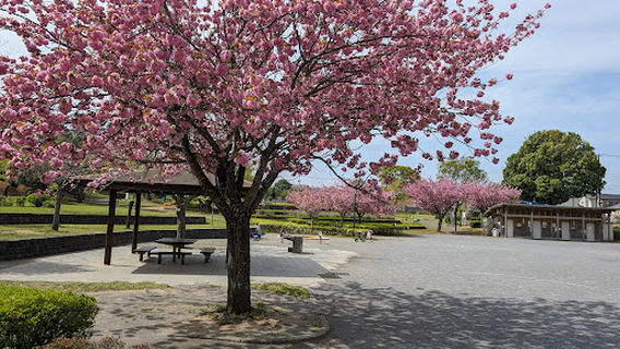 Yotsukaido