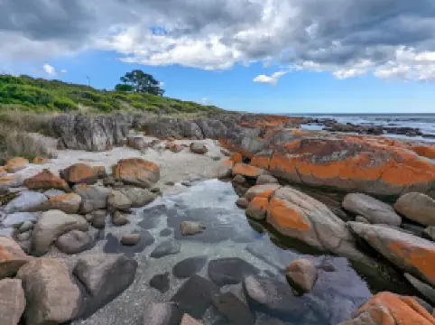 Four Mile Creek Scenic Lookout
