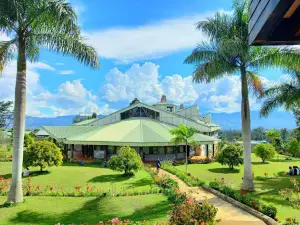 Steven Eka Library