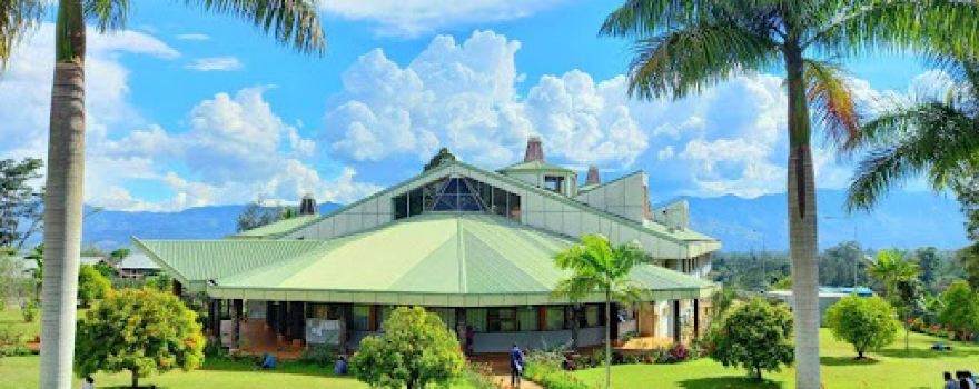 Steven Eka Library