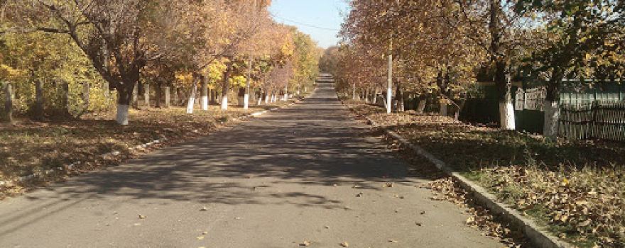 Parc Ermoclia